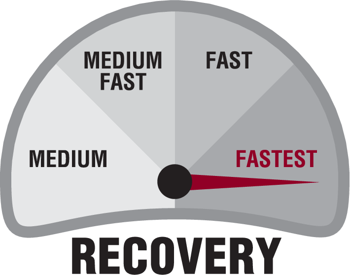 Recovery Speed Icon