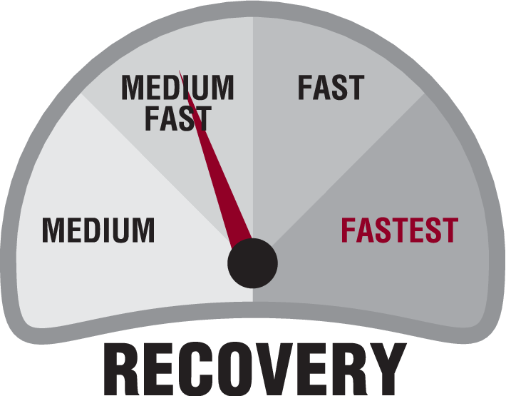 Recovery Speed Icon